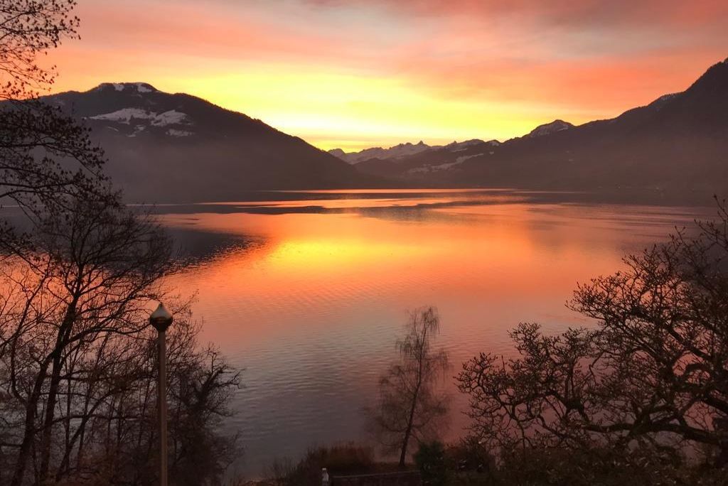 Sunset over a lake between mountains, seen through bare trees